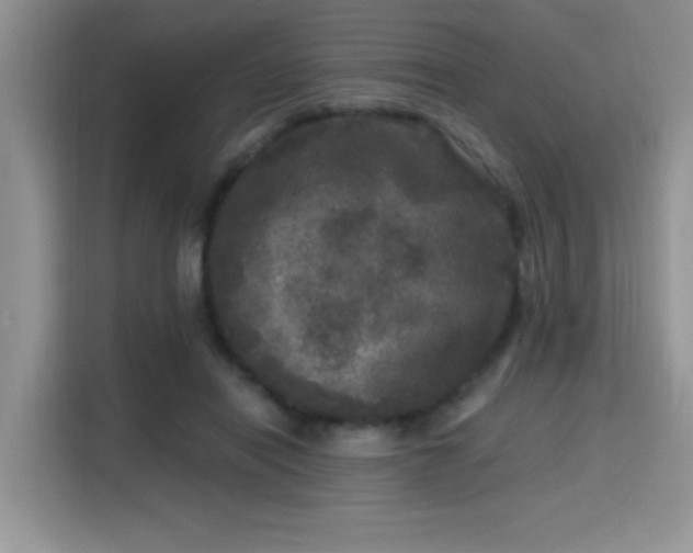X0000115670454200911191029