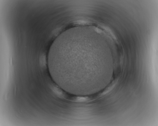 X0000115670457200911191029