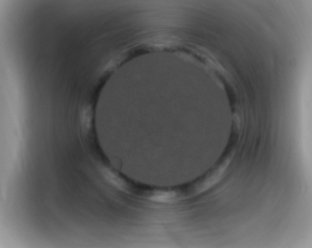 X0000115670458200911191029
