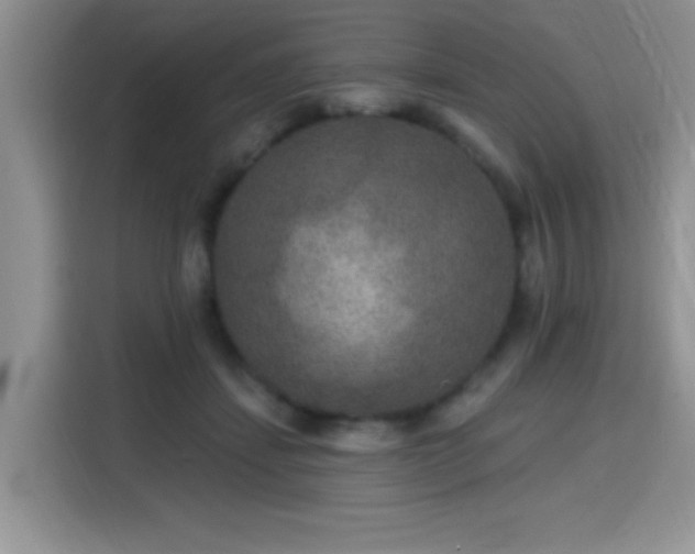 X0000115670459200911191029