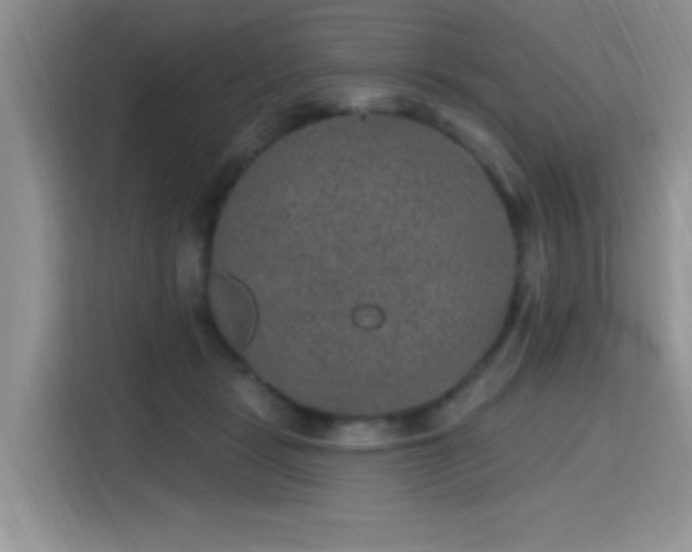 X0000115670461200911191029