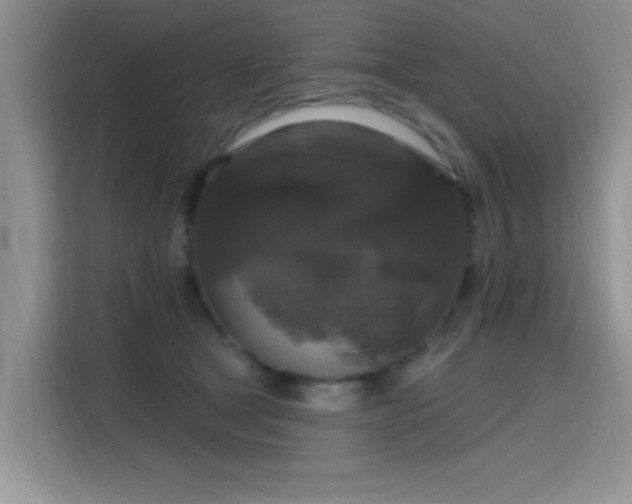 X0000115670465200911191029