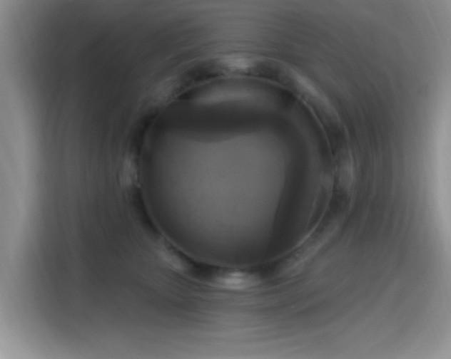 X0000115670467200911191029