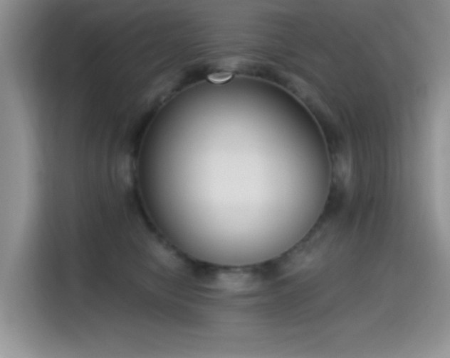 X0000115670470200911191029