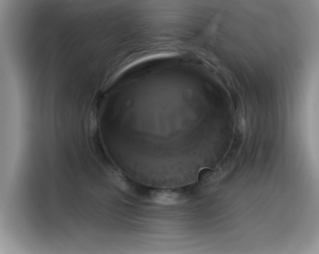X0000115670471200911191029