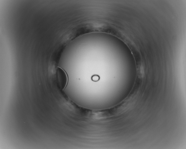 X0000115670472200911191029