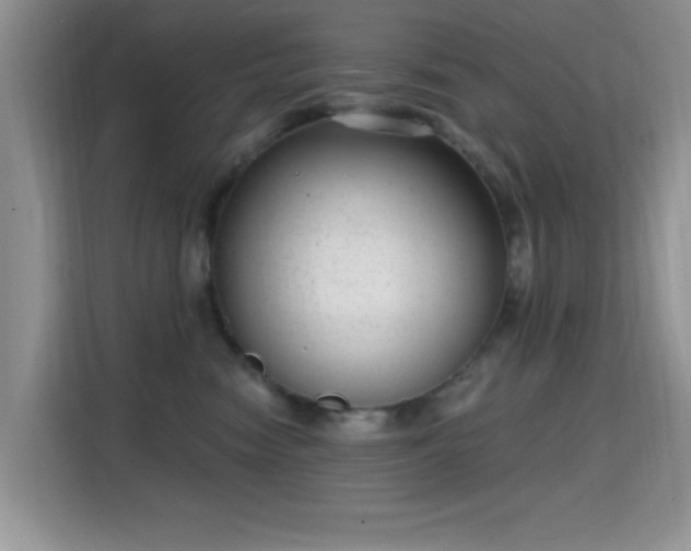 X0000115670474200911191029