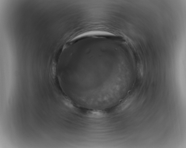 X0000115670475200911191029
