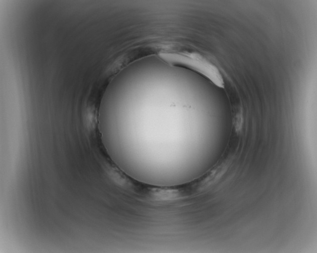 X0000115670476200911191029