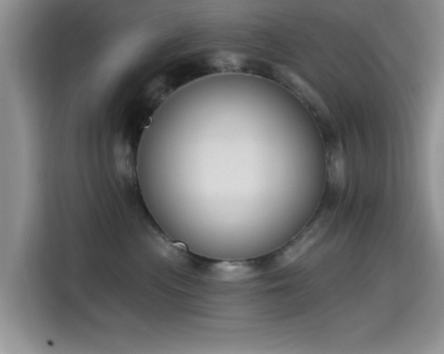 X0000115670477200911191029