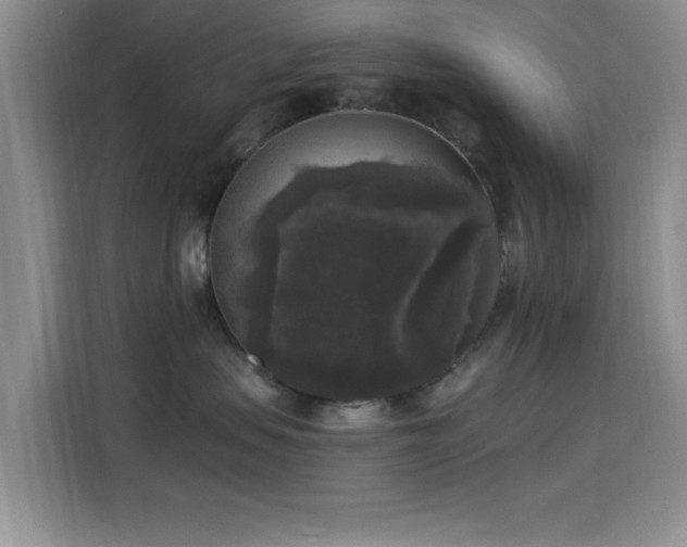 X0000115670479200911191029