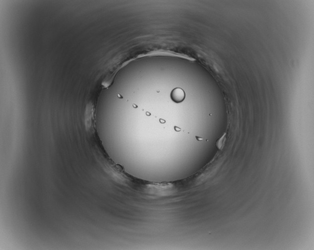 X0000115670480200911191029
