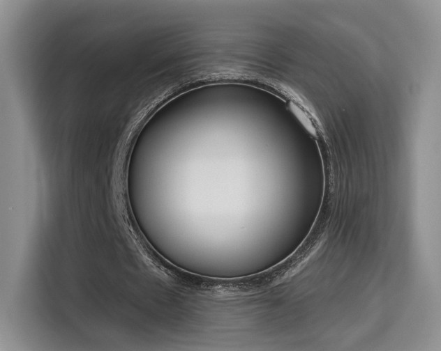 X0000115670481200911191028