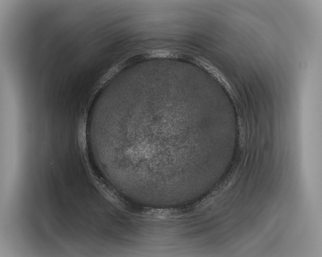X0000115670482200911191028