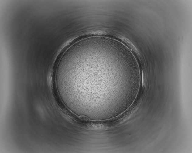 X0000115670483200911191028
