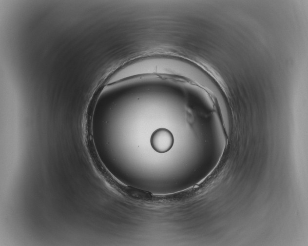 X0000115670485200911191028