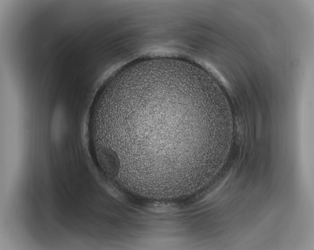 X0000115670487200911191028