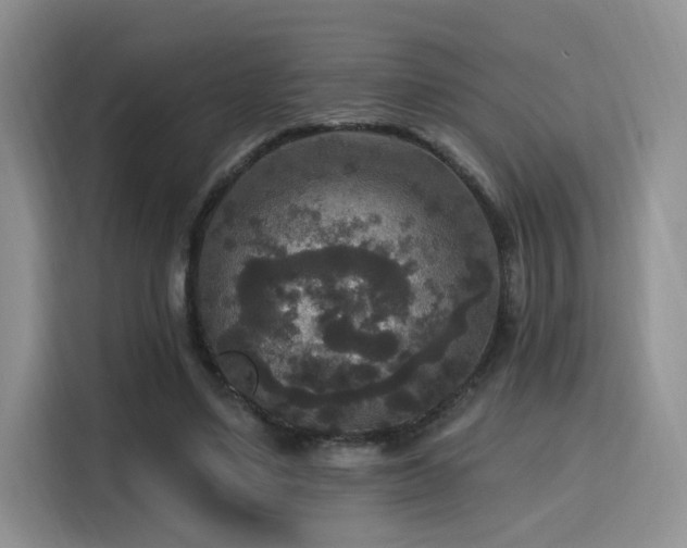 X0000115670491200911191028