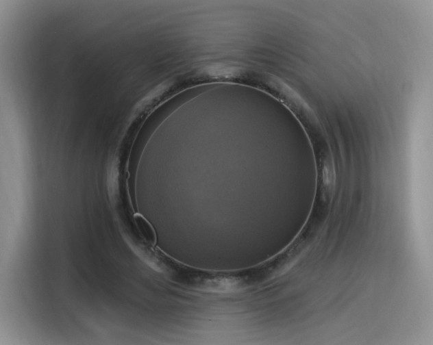 X0000115670492200911191028