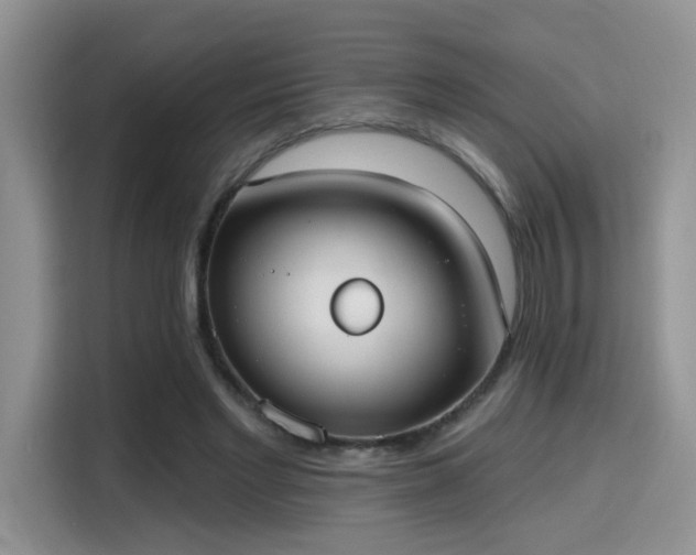 X0000115670493200911191028