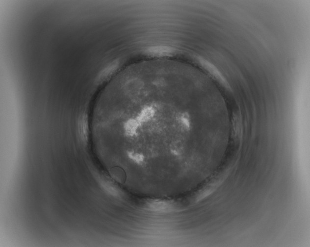 X0000115670494200911191028