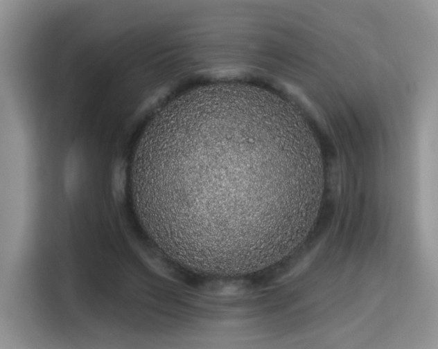X0000115670495200911191028