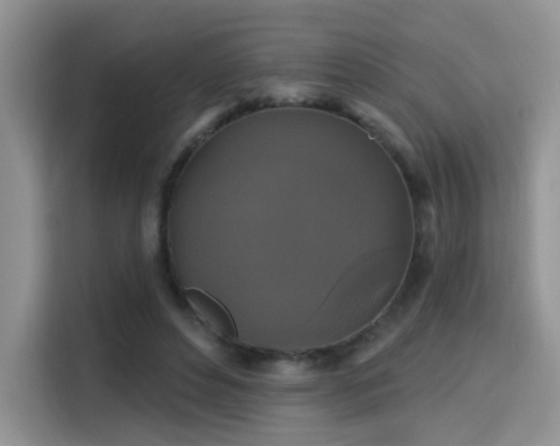 X0000115670496200911191028