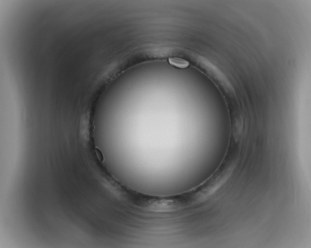 X0000115670497200911191028
