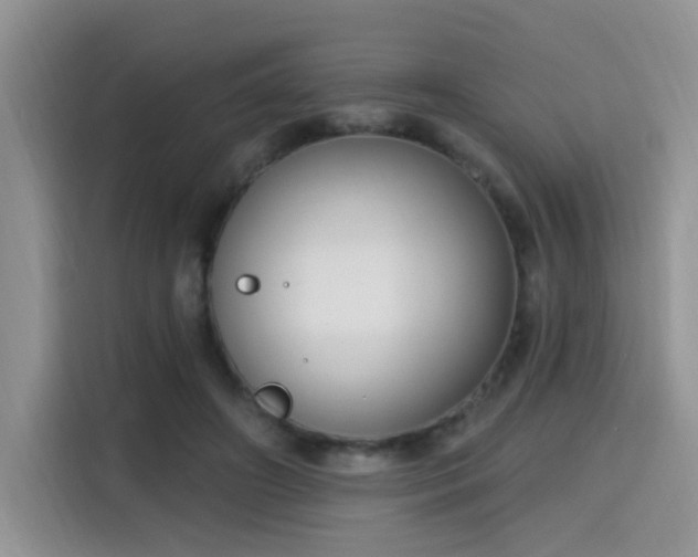X0000115670498200911191028