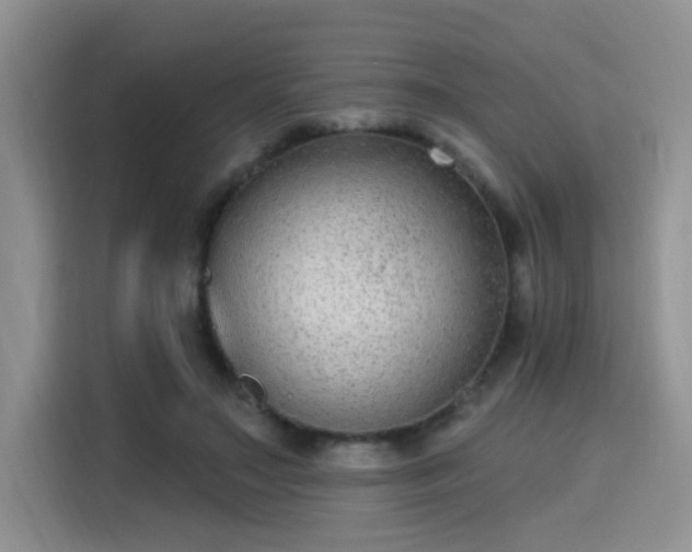 X0000115670499200911191028