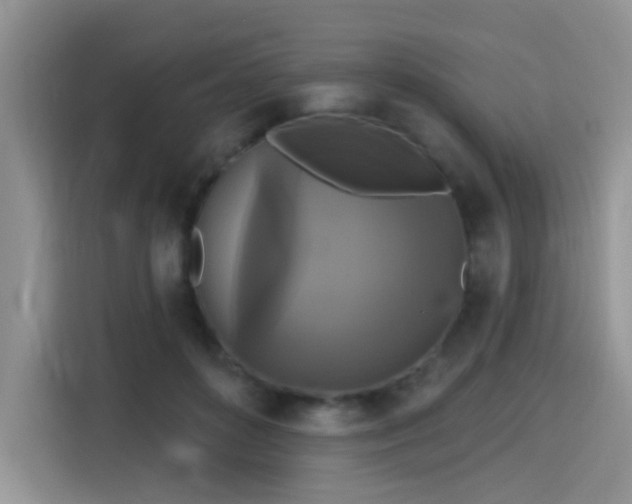 X0000115670504200911191028