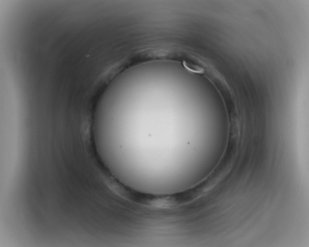 X0000115670505200911191028