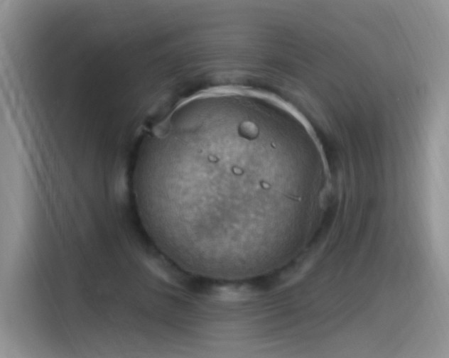 X0000115670508200911191028