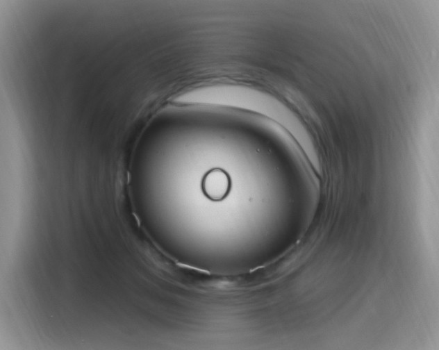 X0000115670509200911191028