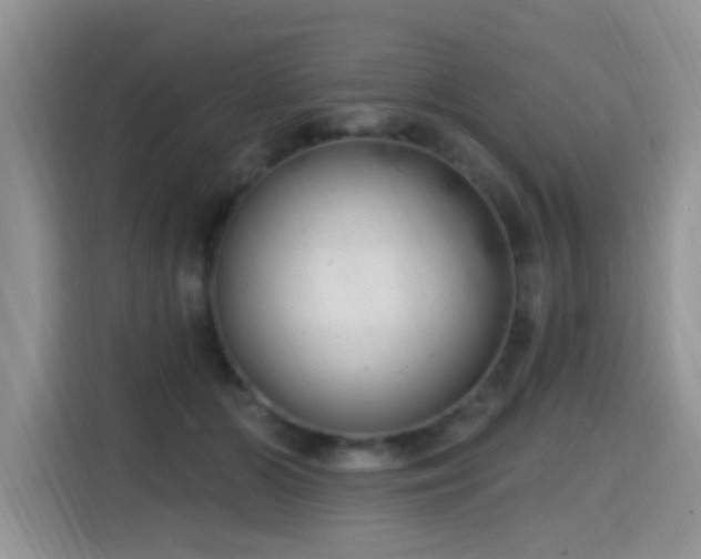 X0000115670510200911191028