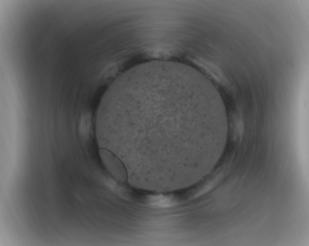 X0000115670511200911191028
