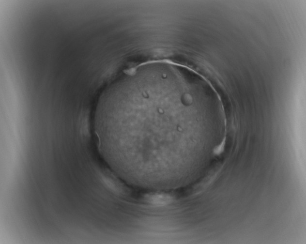 X0000115670512200911191028