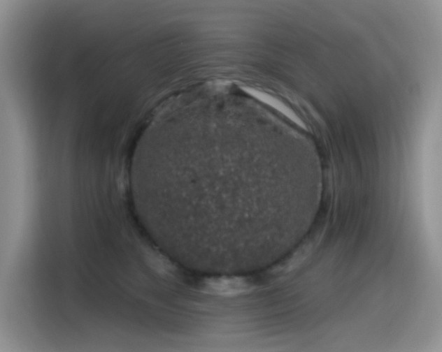 X0000115670517200911191028
