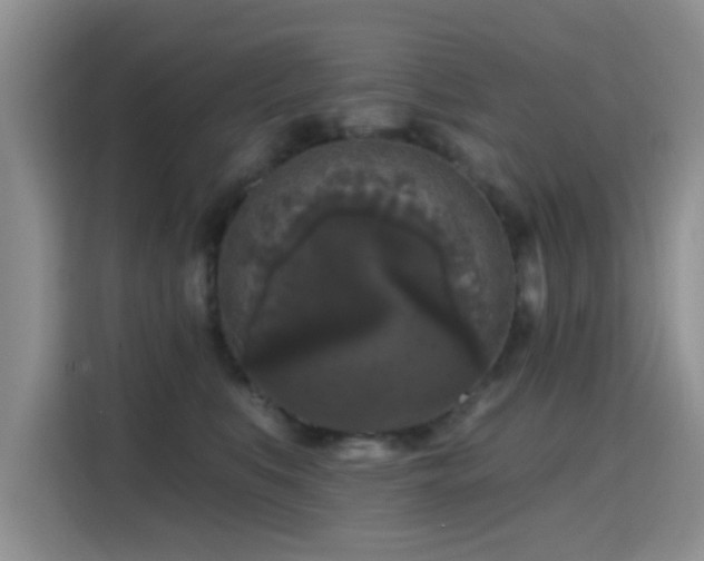 X0000115670519200911191028
