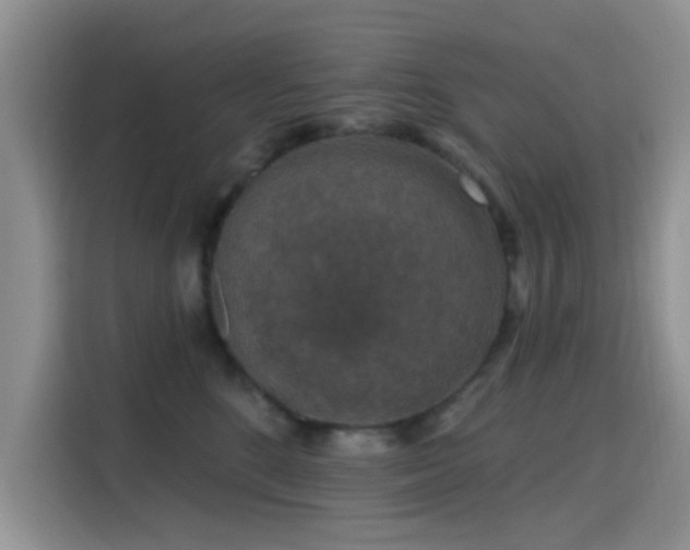 X0000115670520200911191028