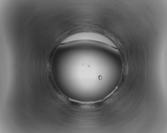 X0000115670521200911191028