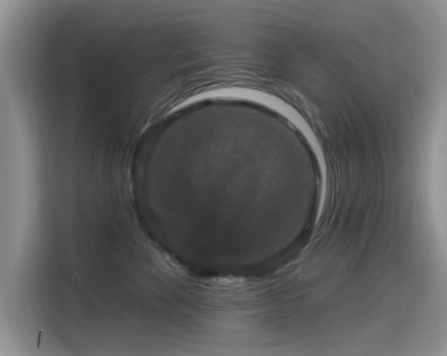 X0000115670524200911191028