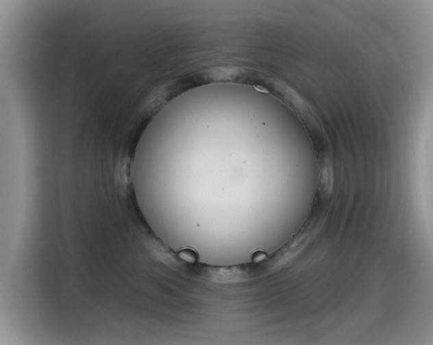 X0000115670525200911191028