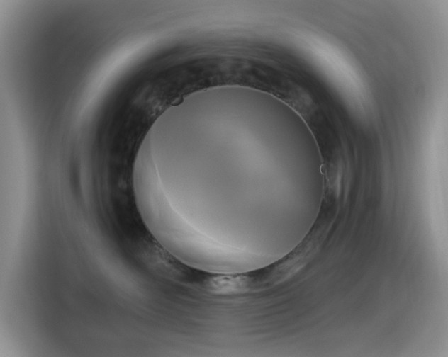 X0000115670526200911191028