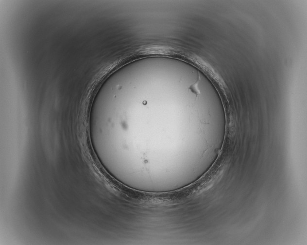 X0000115670529200911191027