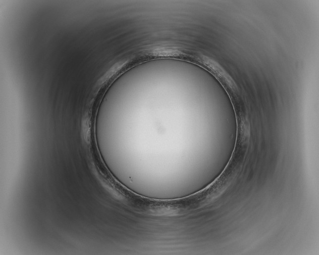 X0000115670533200911191027