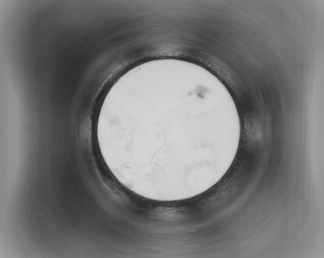 X0000115670534200911191027