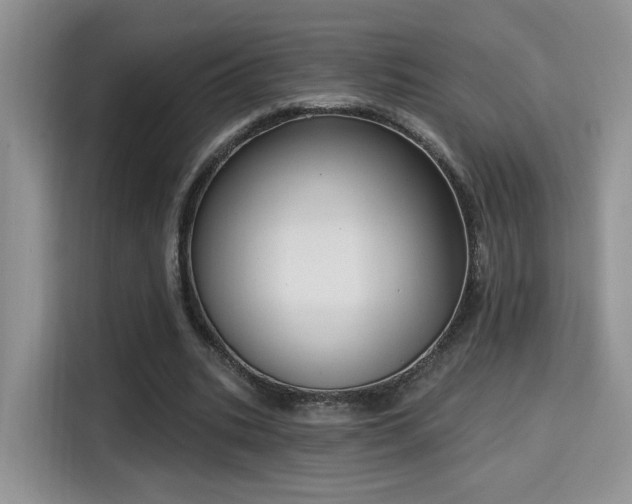 X0000115670535200911191027