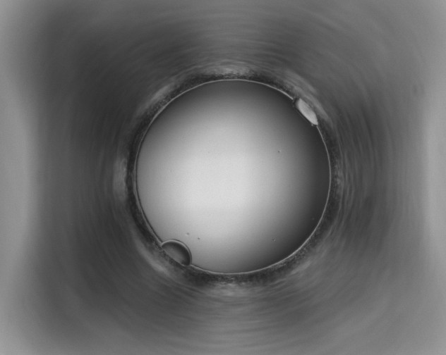 X0000115670538200911191027