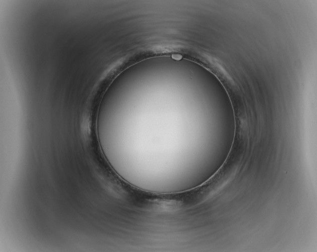 X0000115670539200911191027